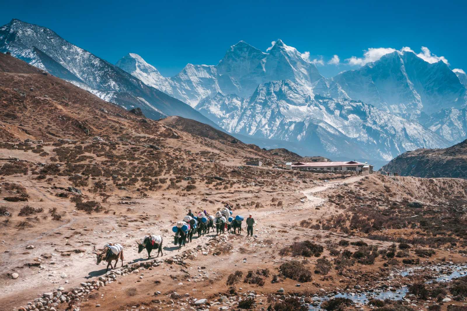 Everest Base Camp Trek - Ultimate Guide for 2023